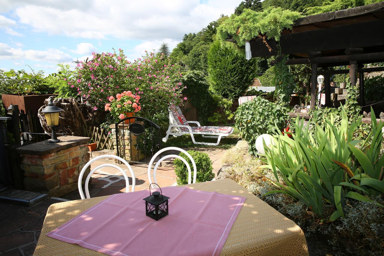 Pension Weinberg Mit Landhaus Nizza Gleisweiler Екстериор снимка